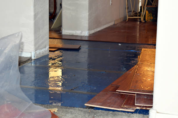 Professional Burst Pipe Cleanup technician working in Sheridan, IL